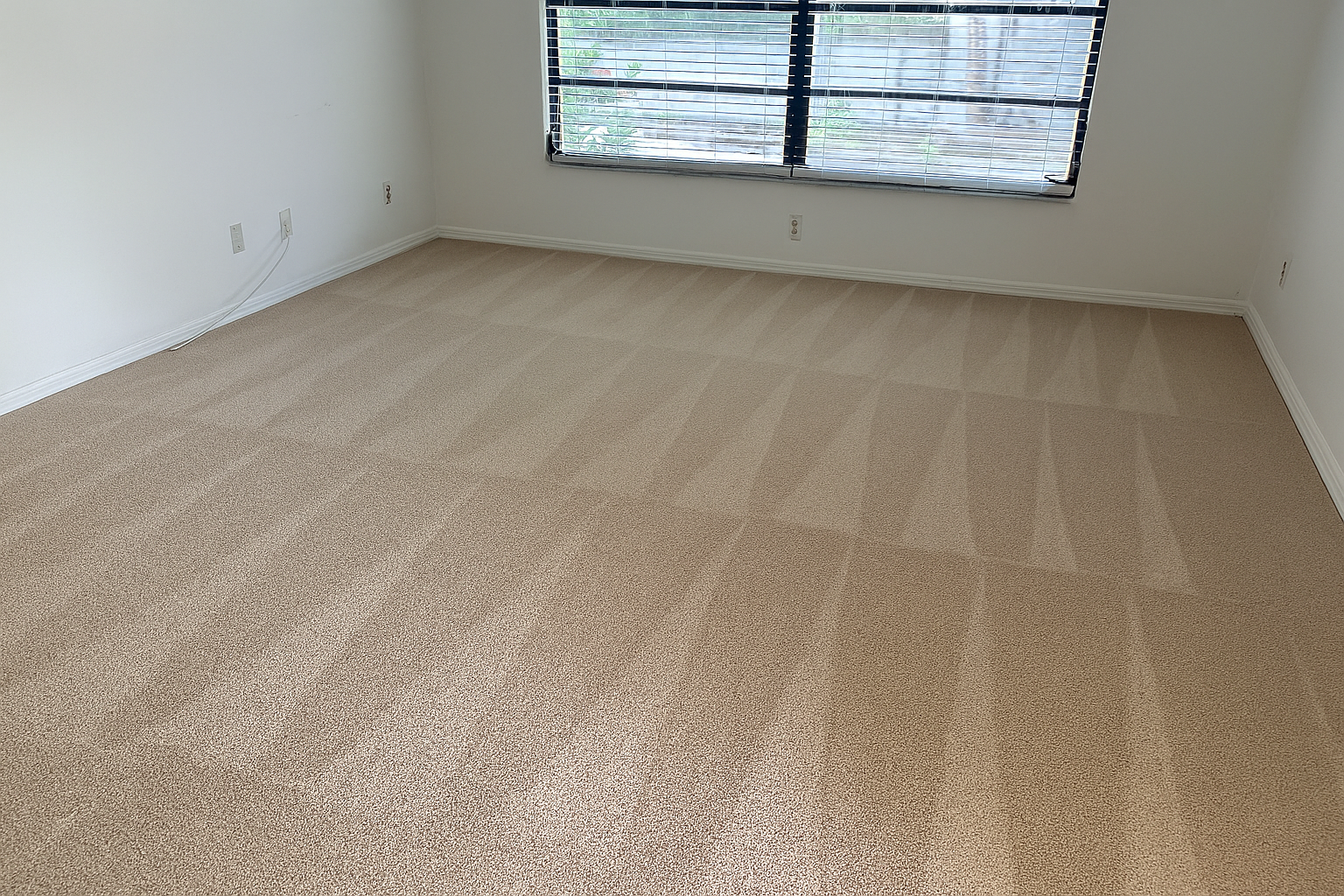 Carpet after cleaning